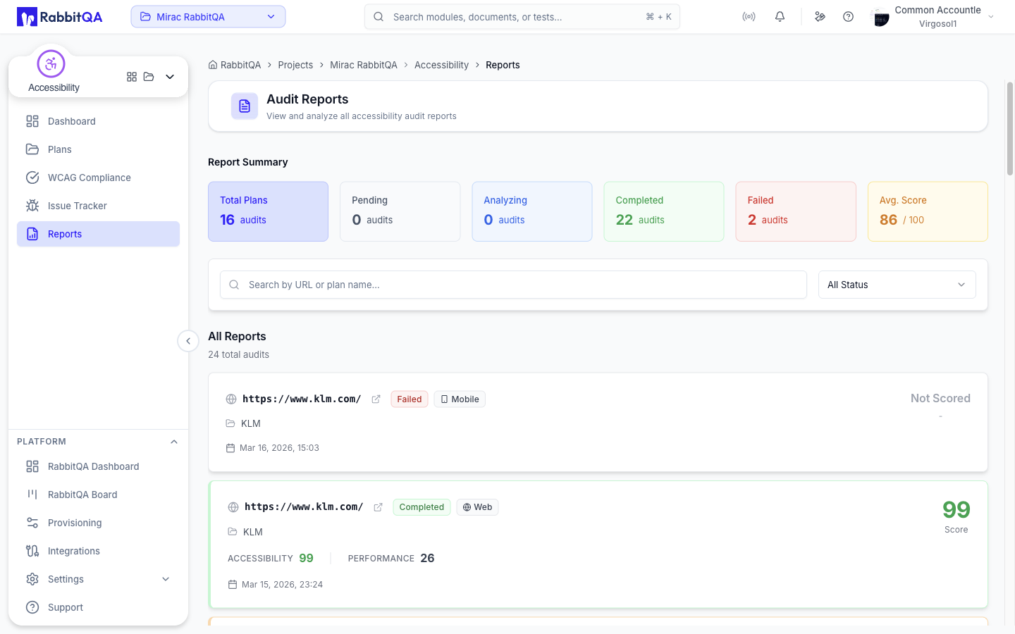 Accessibility Reports
