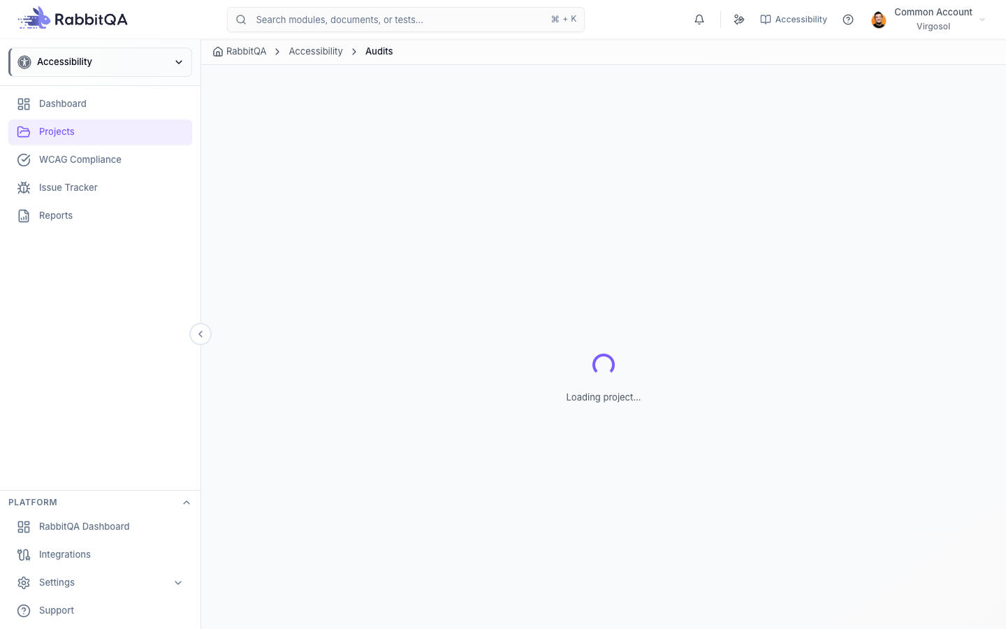 Accessibility Audits